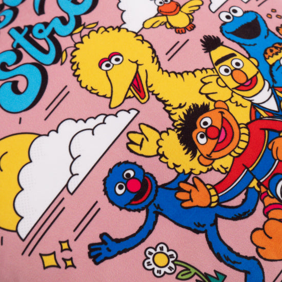 Poszewka na poduszkę ozdobna 47 x 47cm - Sesame Street Since 1969 03