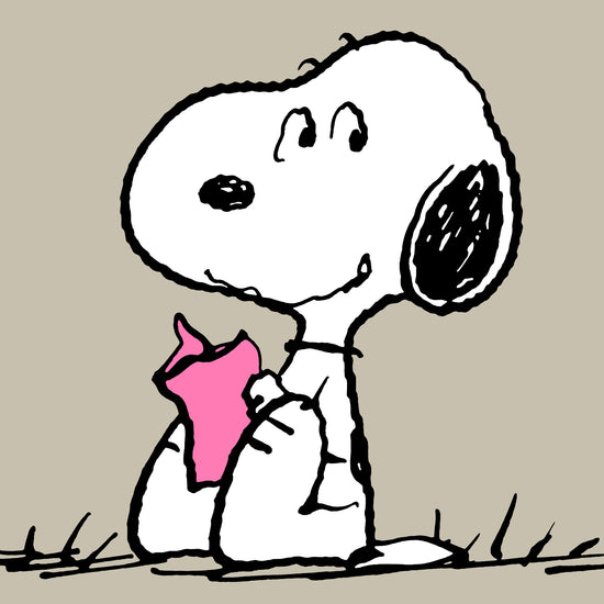 Snoopy Poduszka wąż wsparcie dla pleców - Czytanie 03