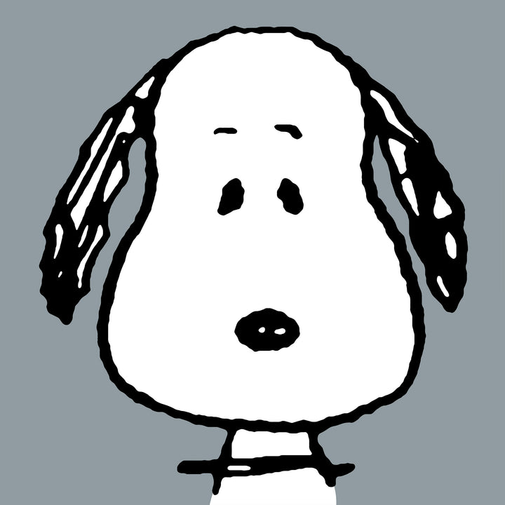 Snoopy Poduszka wąż wsparcie dla pleców - Duży Snoopy 03